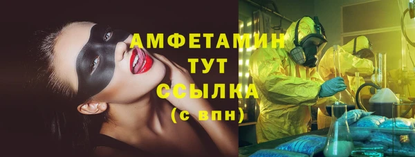 СК Пересвет