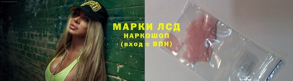 PSILOCYBIN Абдулино