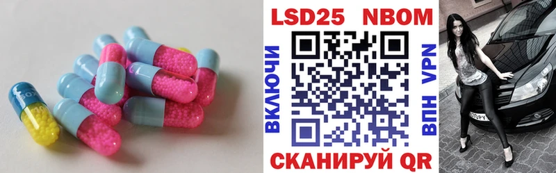 дарк нет наркотические препараты Котельнич ЛСД экстази кислота гидра ссылки