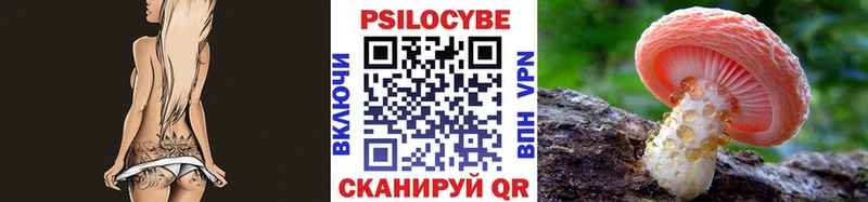 ОМГ ОМГ вход  Котельнич  Псилоцибиновые грибы прущие грибы 